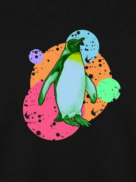 Pinguin Seevogel Südpol