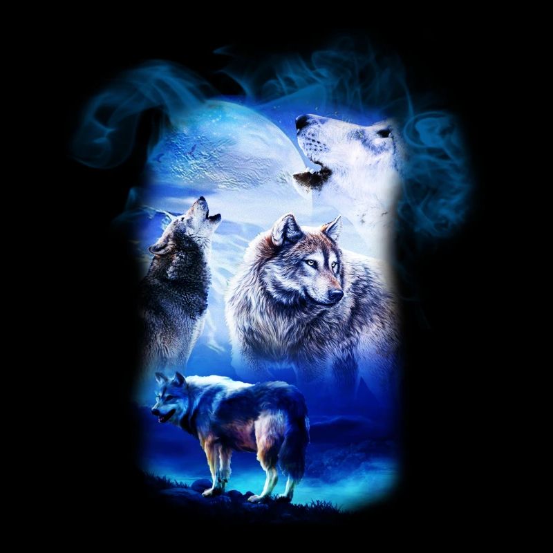 Fantasy Wolf Wolves
