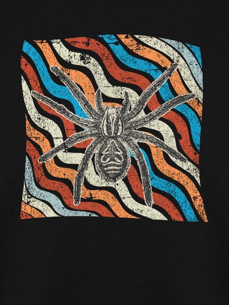 Spinne