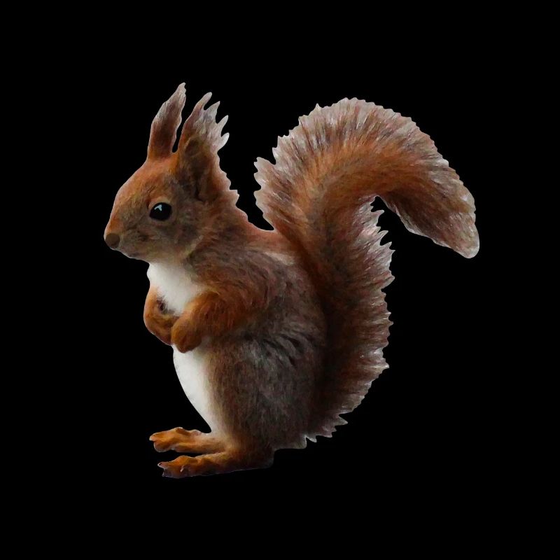 Eichhörnchen natürlich