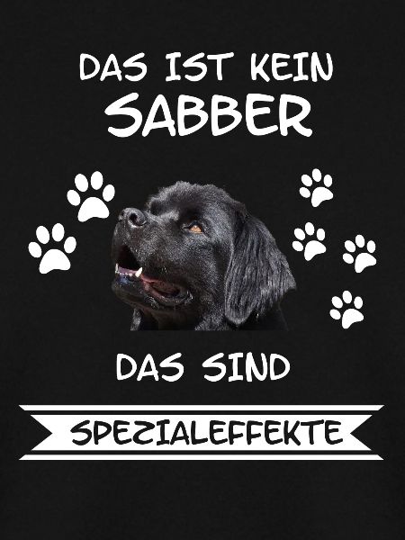 Neufundländer Hund