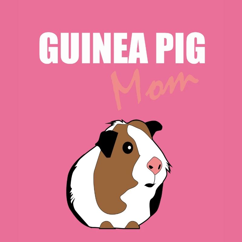 cochon de Guinée