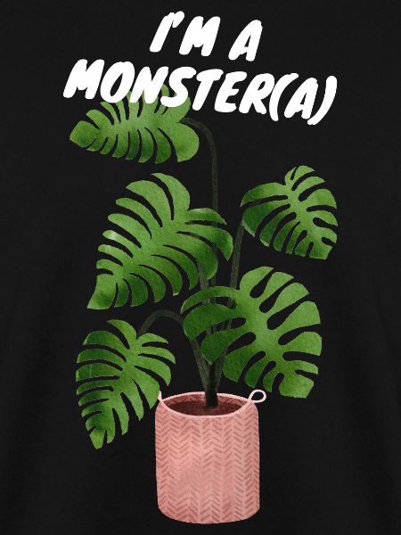 MONSTERA MONSTER PFLANZE