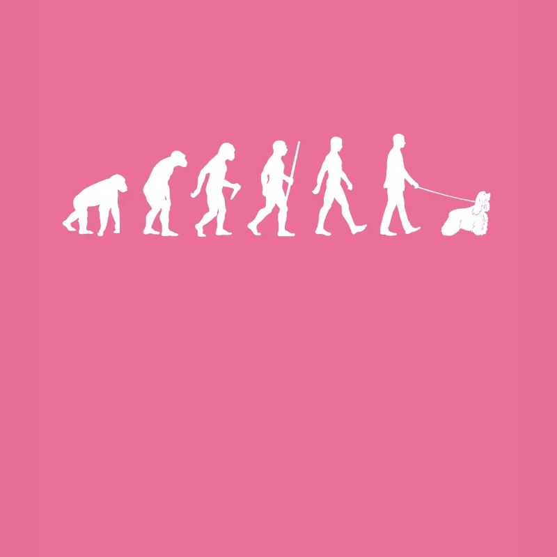 Evolution American Cocker Spaniel Walker