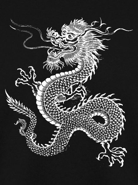 Chinesisches Drachendesign
