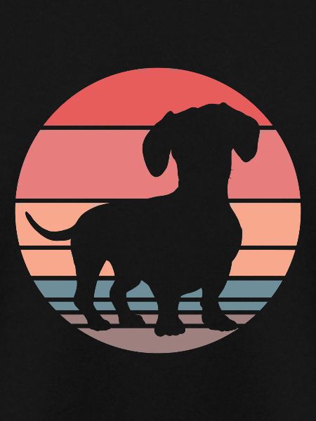 Dachshund Teckel Dackel
