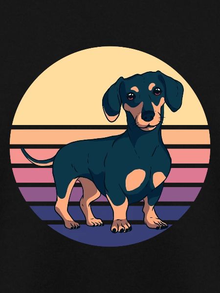 Dachshund Teckel Dackel