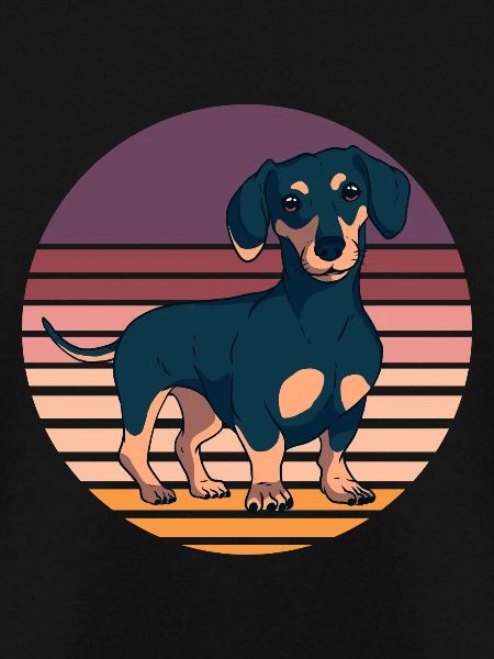 Dachshund Teckel Dackel