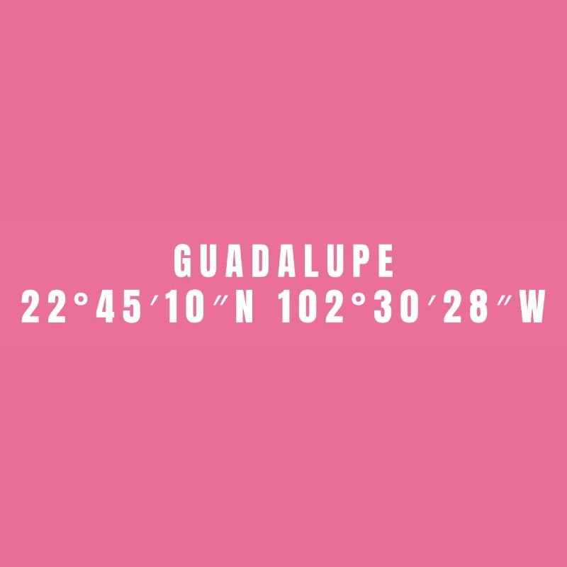 Guadalupe, Mexico Coordinates