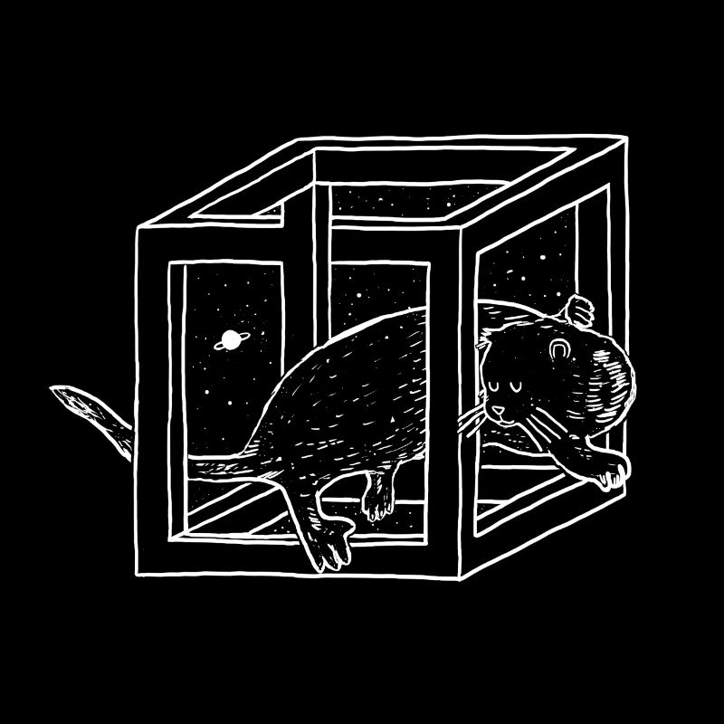 Otterly Impossible
