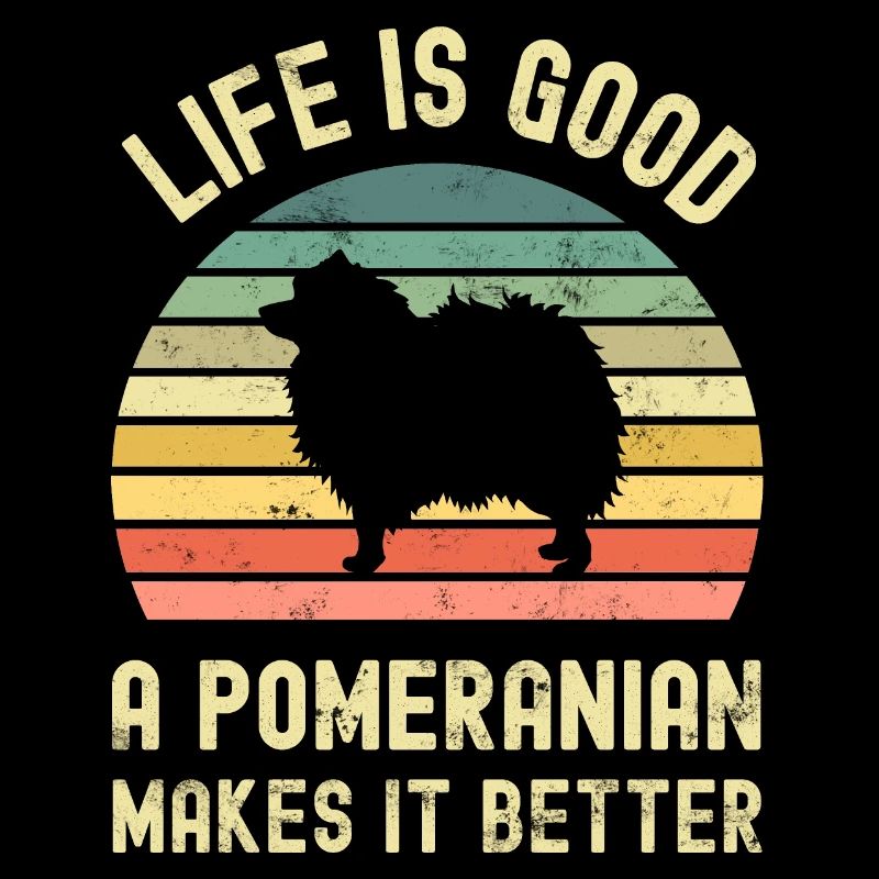 Hund Pomeranian