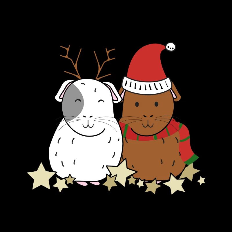 Cochon d'inde noel