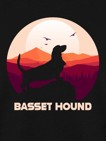 Basset Hound