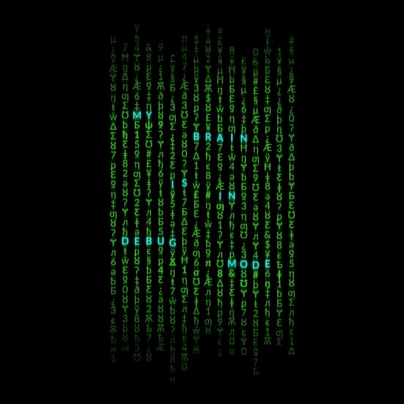 My brain is in debug mode