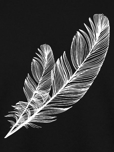 small and large feather