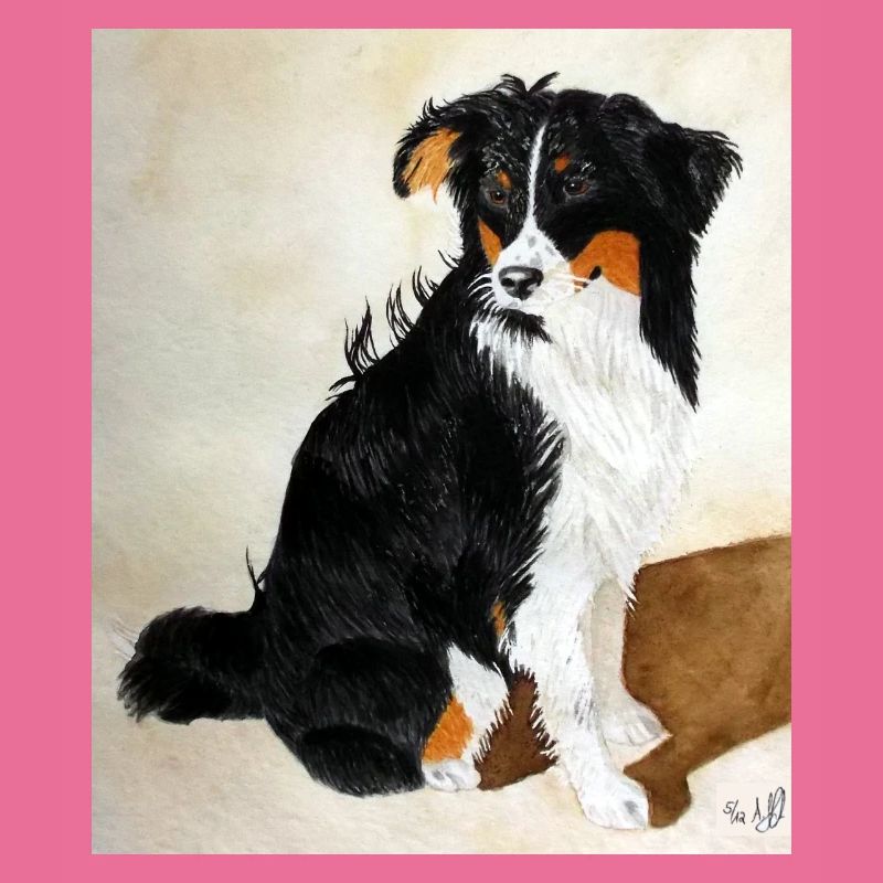 Sitzender Aussie Nanouk