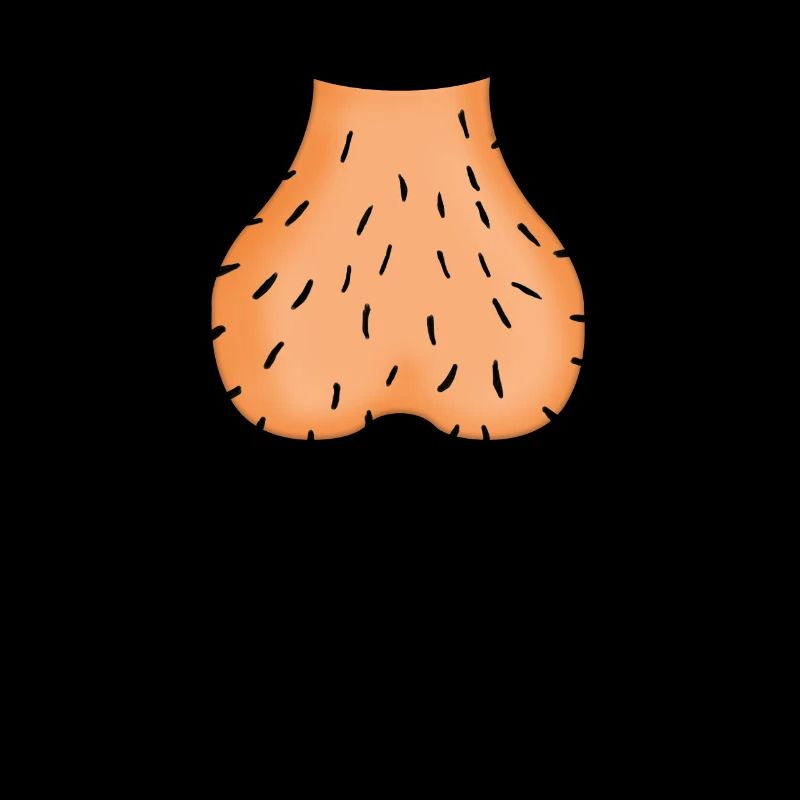 scrotum