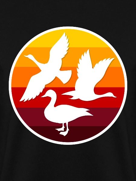 ducks