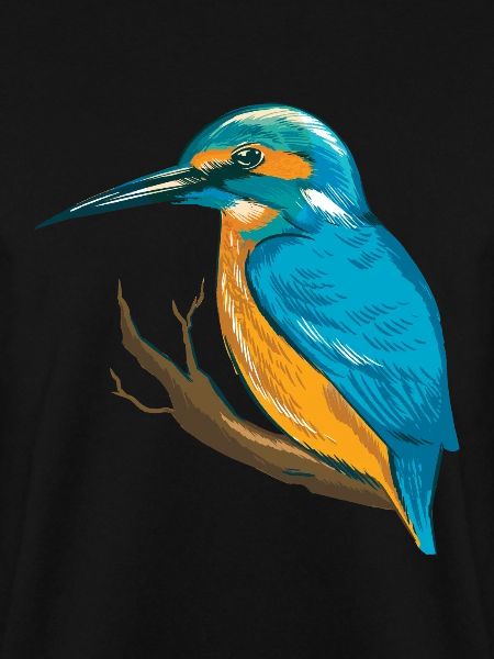 Eisvogel Blauer Vogel