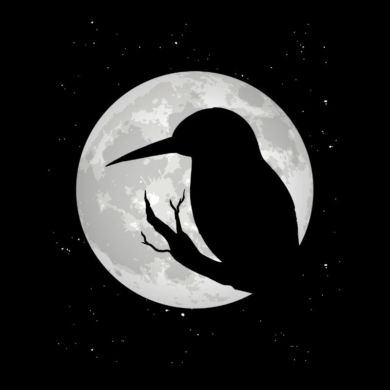 Eisvogel Mond Blauer Vogel