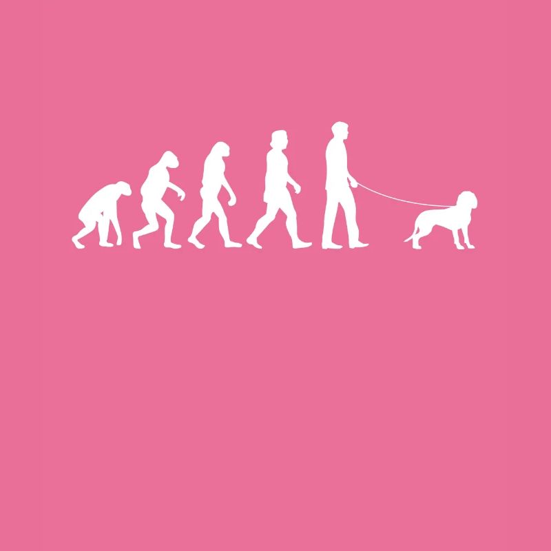 Bavarian Mountain Welding Dog Evolution BGS