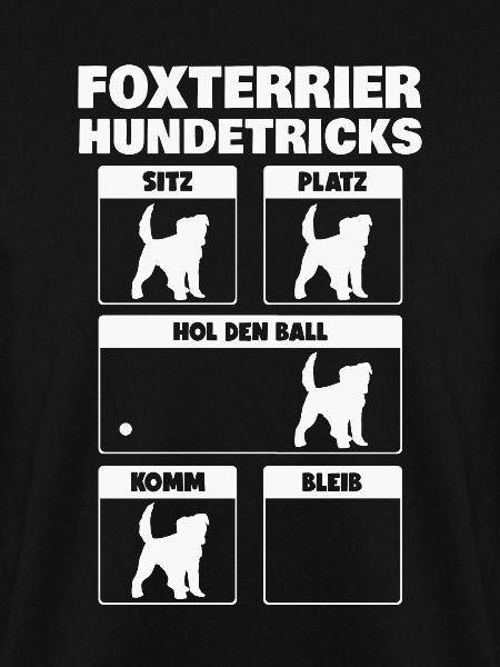 Foxterrier Hundetricks Drahthaar-Foxterrier