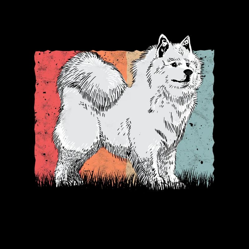 Samoyed vintage sled dog Samoyed