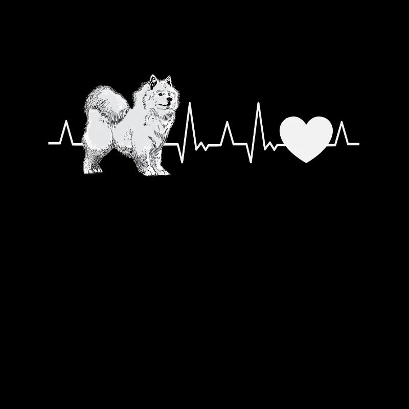 Samoyed heartbeat sled dog Samoyed