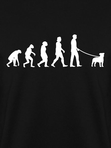Parson Russell Terrier Evolution