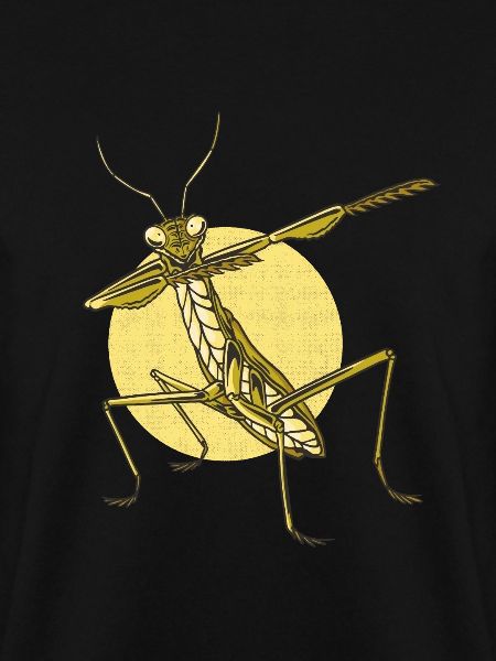 Gottesanbeterin Dabbing Praying Mantis