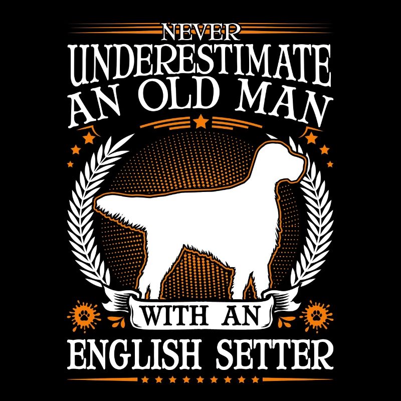 English Setter Old Man Englischer Setter
