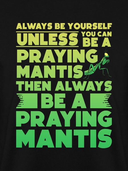 Gottesanbeterin Mantis Fangschrecke