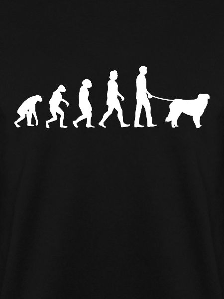 Kuvasz Evolution