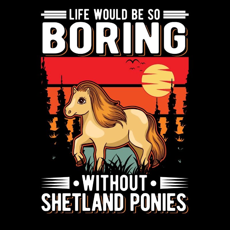 Shetland Pony Shetland Pony Shetty