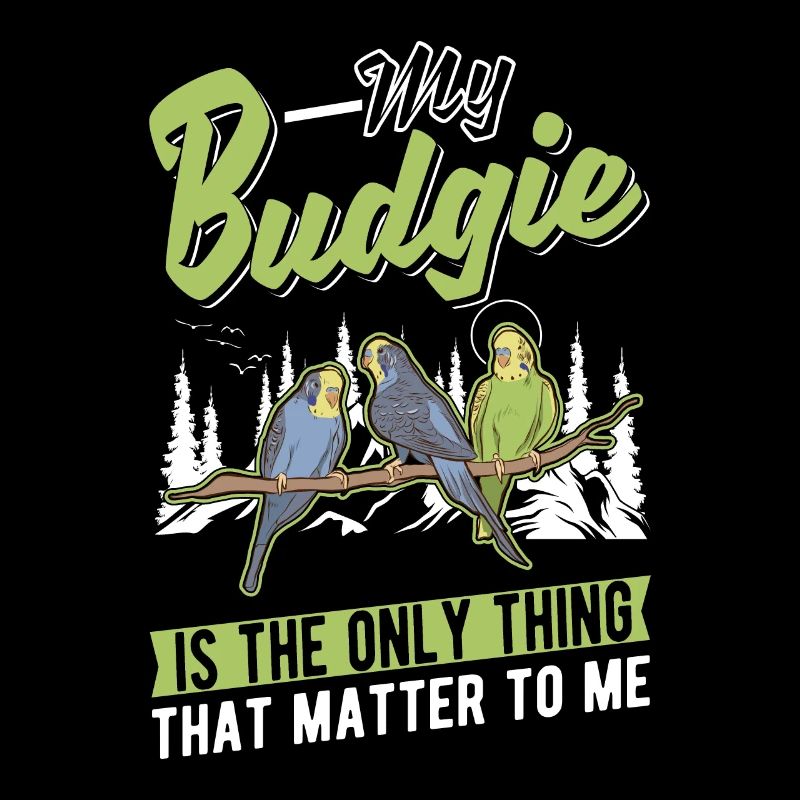 Perruche Budgerigar Welli