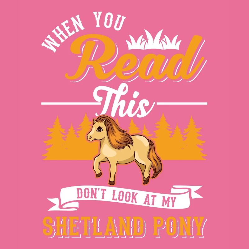 Shetland Pony Geschenk Shetty