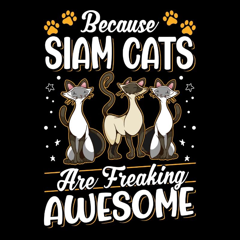 Parce que les Chats du Siam sont impressionnants