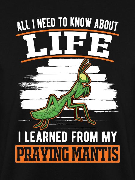 Gottesanbeterin Mantis Fangschrecke