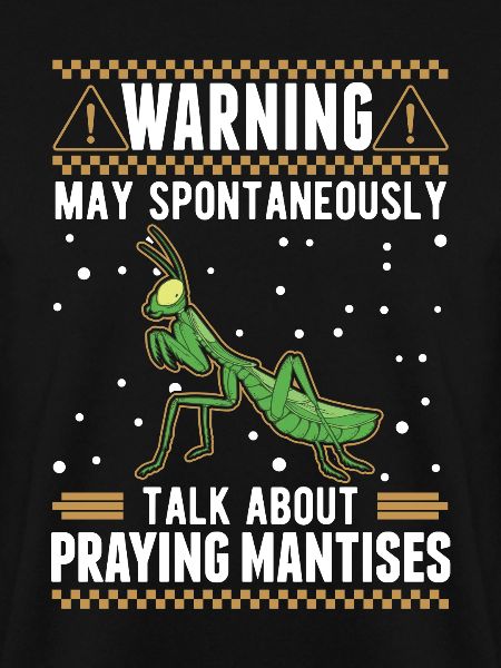 Gottesanbeterin Mantis Fangschrecke