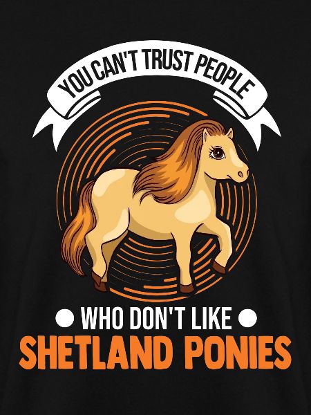 Shetland Pony Gift Shetty