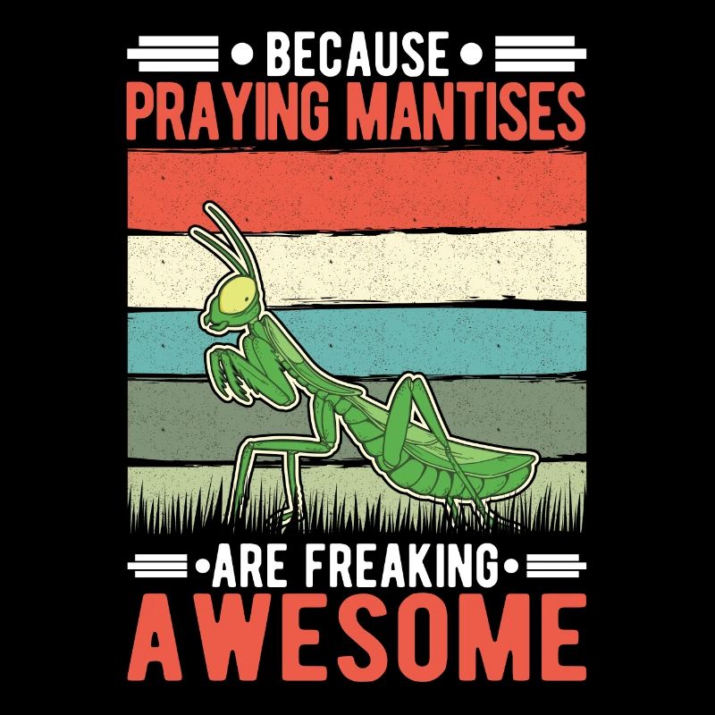Because Praying Mantises are freaking awesome
