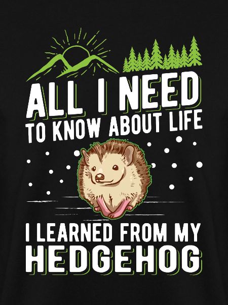 Igel Geschenk Stacheligel