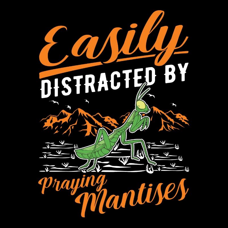 Gottesanbeterin Praying Mantis Fangschrecke