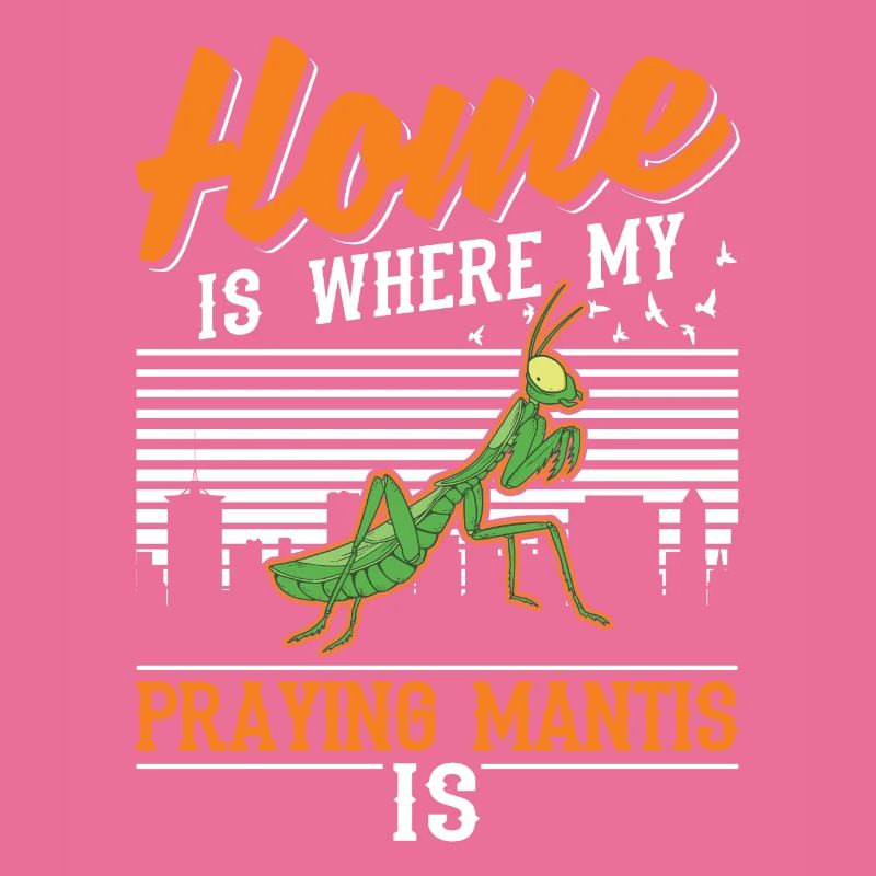 Praying mantis home mantis mantis mantis