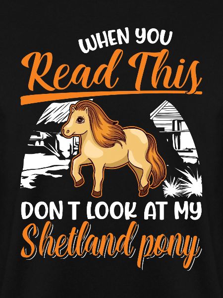 Shetland Pony Gift Shetty