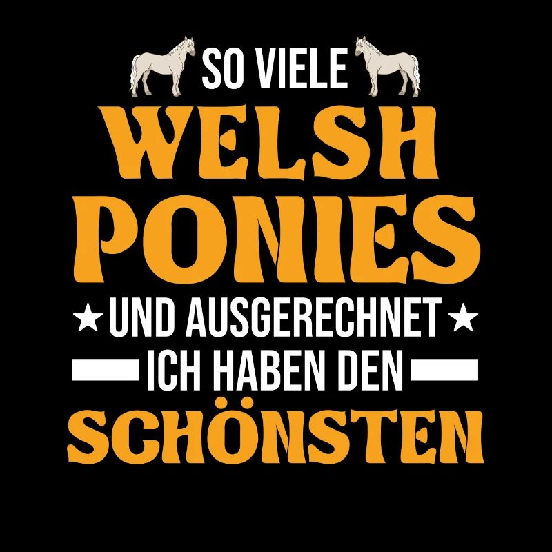 Welsh Pony Reiterin