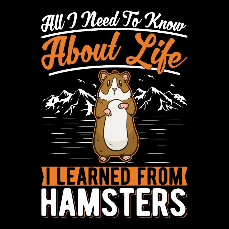 Hamster Cadeau Hamster Roue d’Or Hamster
