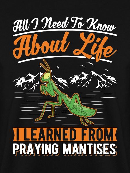 Gottesanbeterin Mantis Fangschrecke