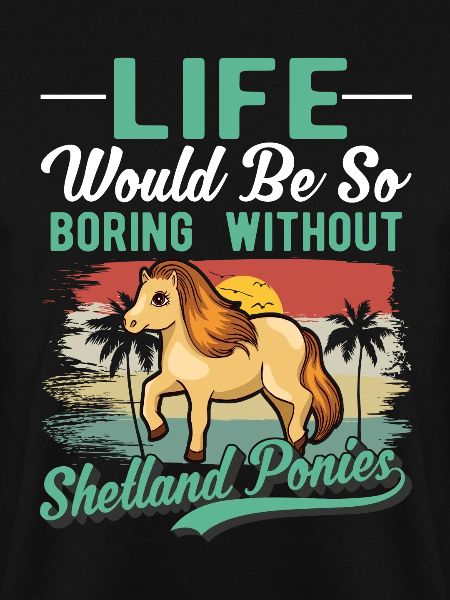 Shetland Pony Gift Shetty