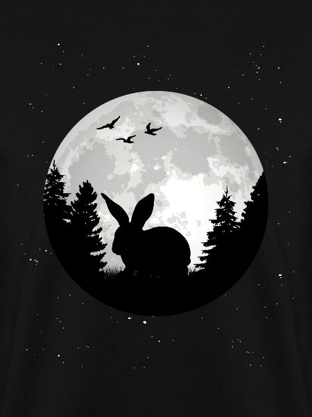 Rabbit Moon Bunny Rabbit